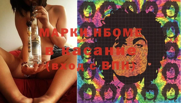 прущие грибы Россошь