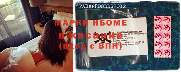 шишки Лагань