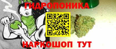 стаф Гагарин