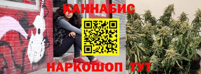 индика Волгодонск
