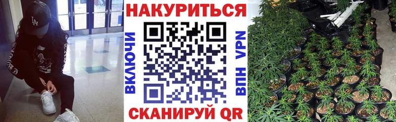 Бошки марихуана THC 21% магазин продажи Верхняя Пышма